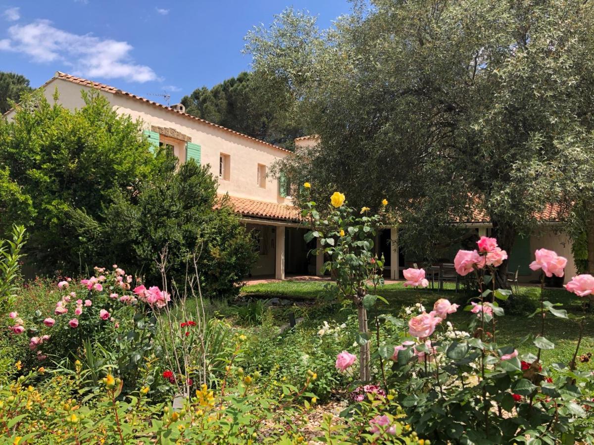 Villa Bonheur Vallespir Сере Екстер'єр фото