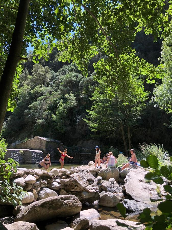 Villa Bonheur Vallespir Сере Екстер'єр фото