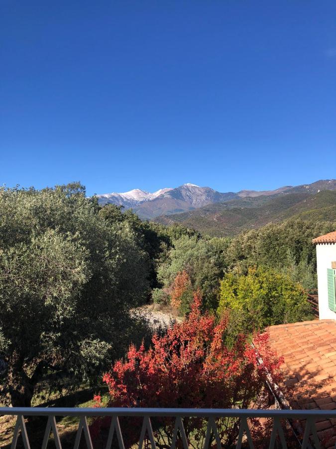 Villa Bonheur Vallespir Сере Екстер'єр фото
